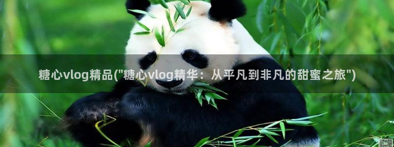 糖心vlog网络繁忙:糖心vlog精品(