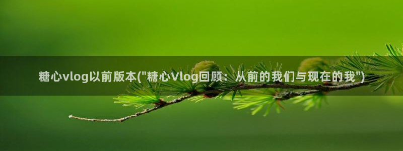 糖心vlog合集资源:糖心vlog以前版