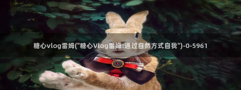 51动漫糖心vlog:糖心vlog雷姆(