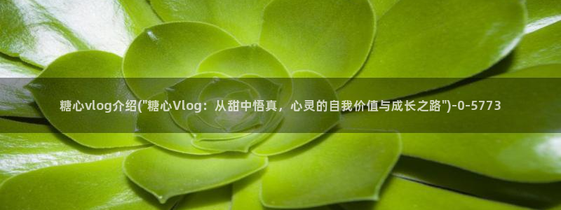 天美糖心vlog:糖心vlog介绍(\
